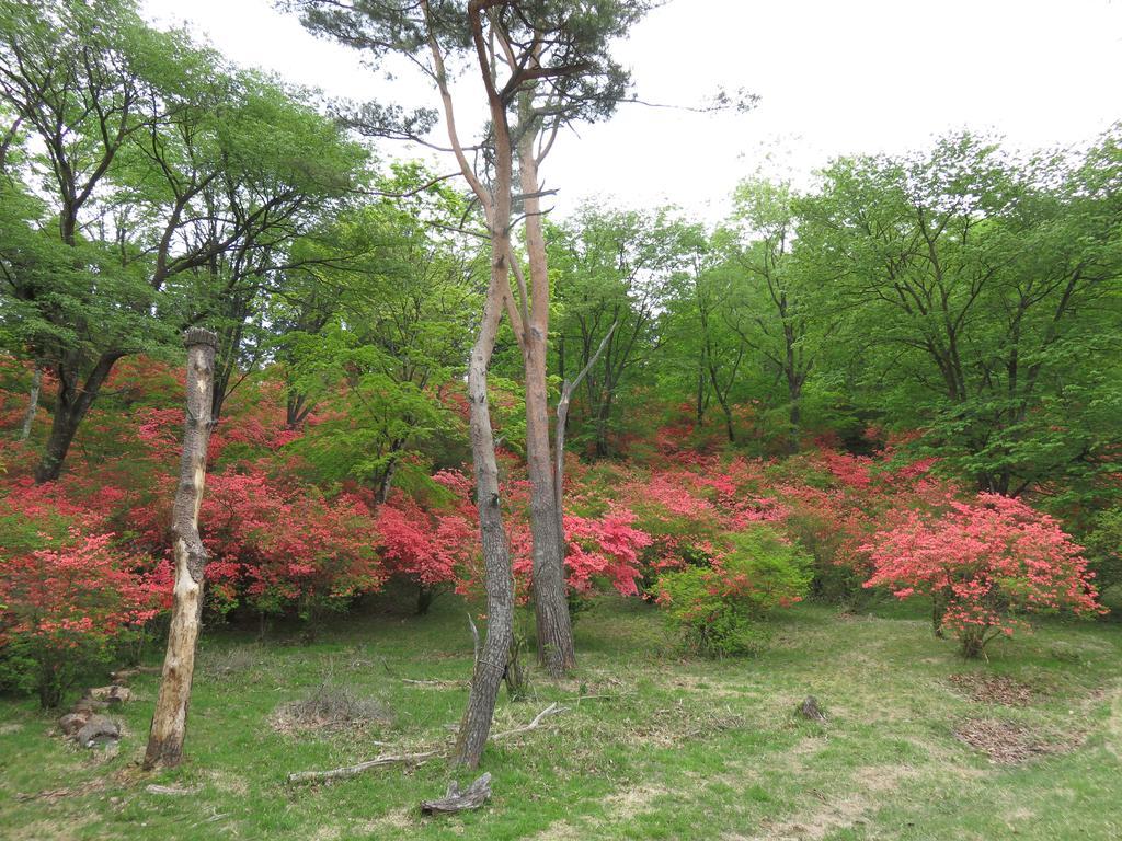 Nikko Pension L'Escale Exteriör bild